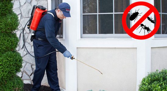 Tuzlukçu Gümüşkurt İlaçlama böcek ilaçlama ve haşere kontrolü — ilaclama-tr.com